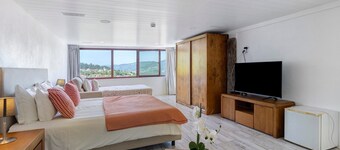 Room 'Room 21 - Terrace - Quinta Do Avô' with Mountain View, Wi-Fi and Air Conditioning