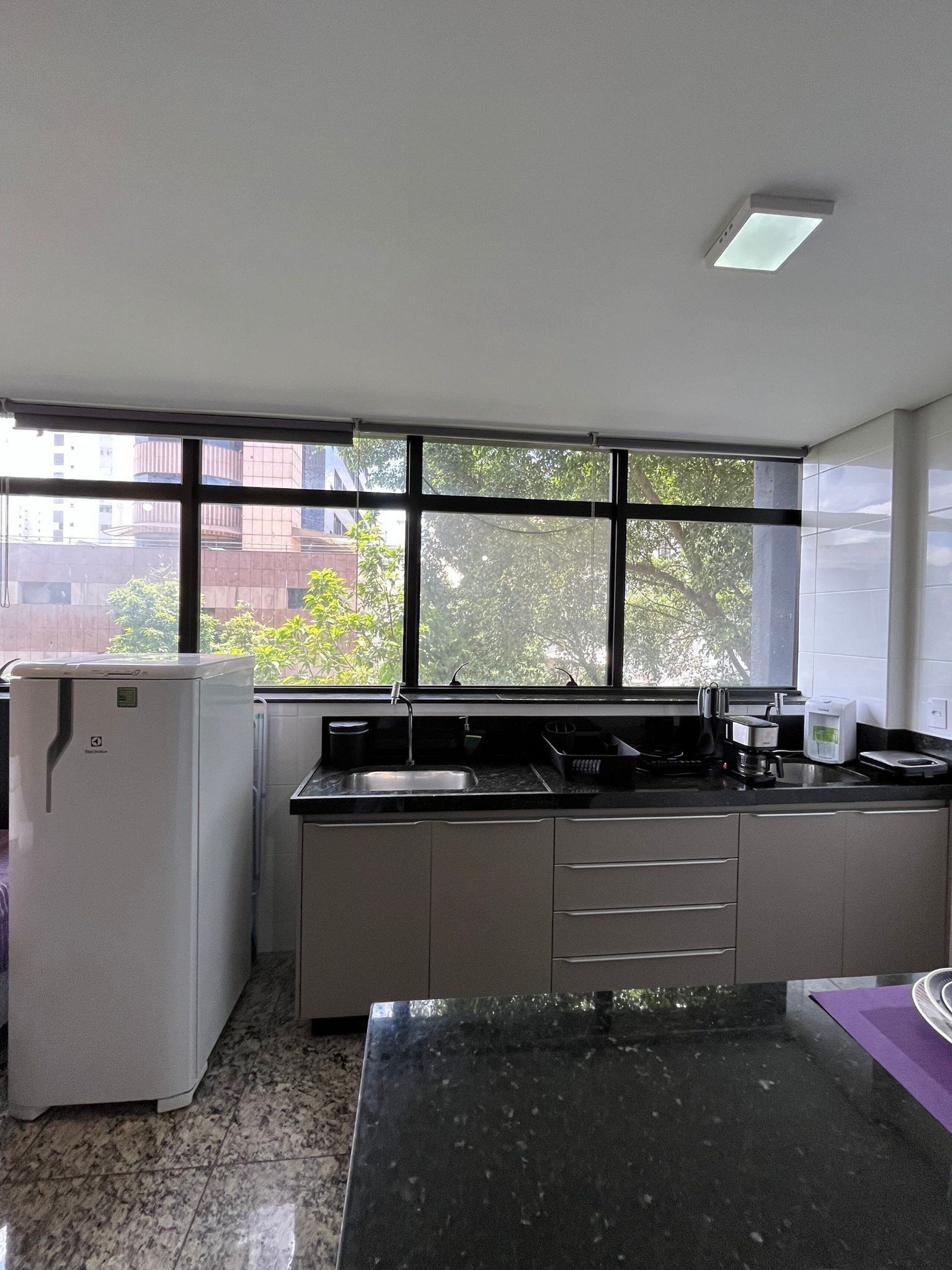 Cocina con refrigerador, lavamanos y ventana que da a edificios y árboles.