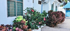Exterior detail - Primavera Jambiani (Jambiani)