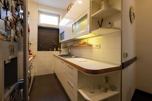 Private kitchen - Aurelis Apartment Zagreb Center (Zagreb)