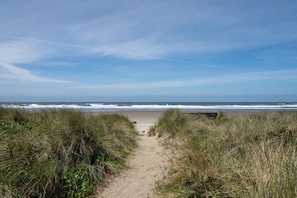 Nära stranden