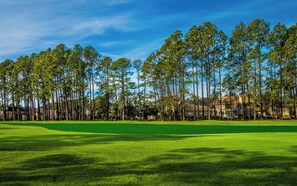 A golf course with a well-maintained green, tall pine trees, and residential buildings in the background. - The Coastal Catch Ground-Floor Oasis near Beach, Pool & Golf (Little River)