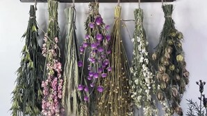 A variety of dried plants and flowers hanging on a wall. - The Shire Hobbit House is a 1-bedroom with AC in charming Flat Rock, Alabama. (Flat Rock)
