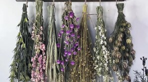 A variety of dried plants and flowers hanging on a wall. - The Shire Hobbit House is a 1-bedroom with AC in charming Flat Rock, Alabama. (Flat Rock)