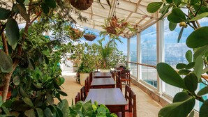 Un comedor interior con mesas y sillas, rodeado de abundante follaje y ventanas amplias.