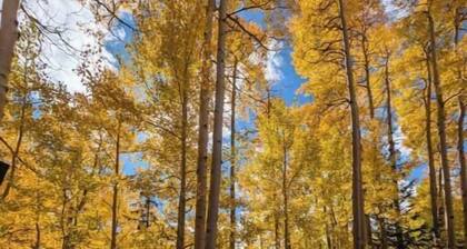 Secluded Alma Cabin – Hot Tub, Starlink & 20 Min to Breck