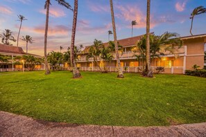 Un hotel con varios pisos, palmeras y un césped bien cuidado.