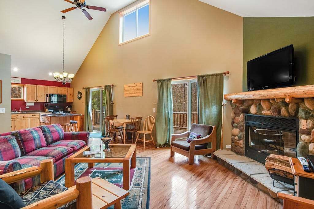 TV, fireplace, video games, DVD player