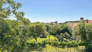 Viñedo con cerca, casas al fondo y cielo despejado.