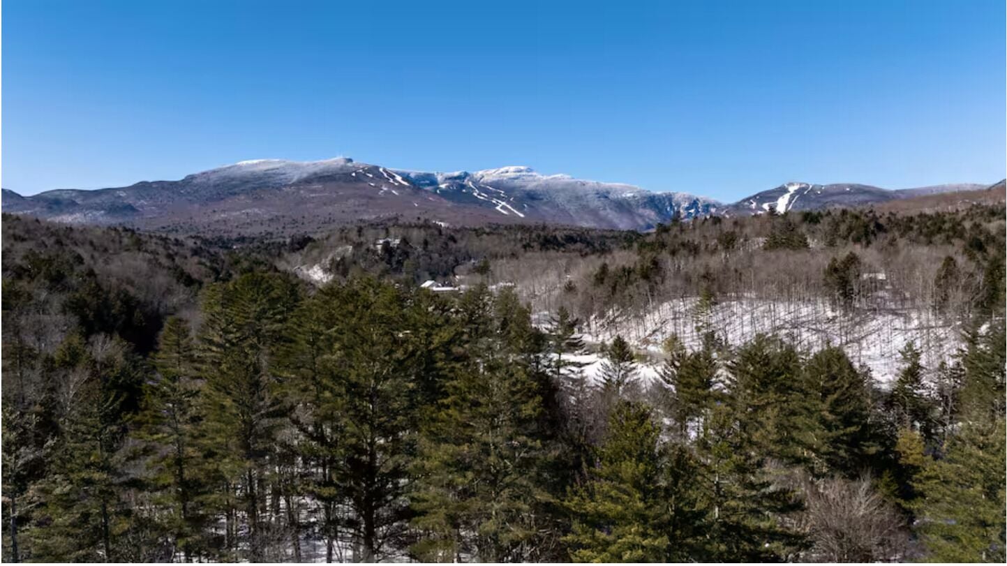 A mountainous landscape with dense forest in the foreground and snow-capped peaks in the background.