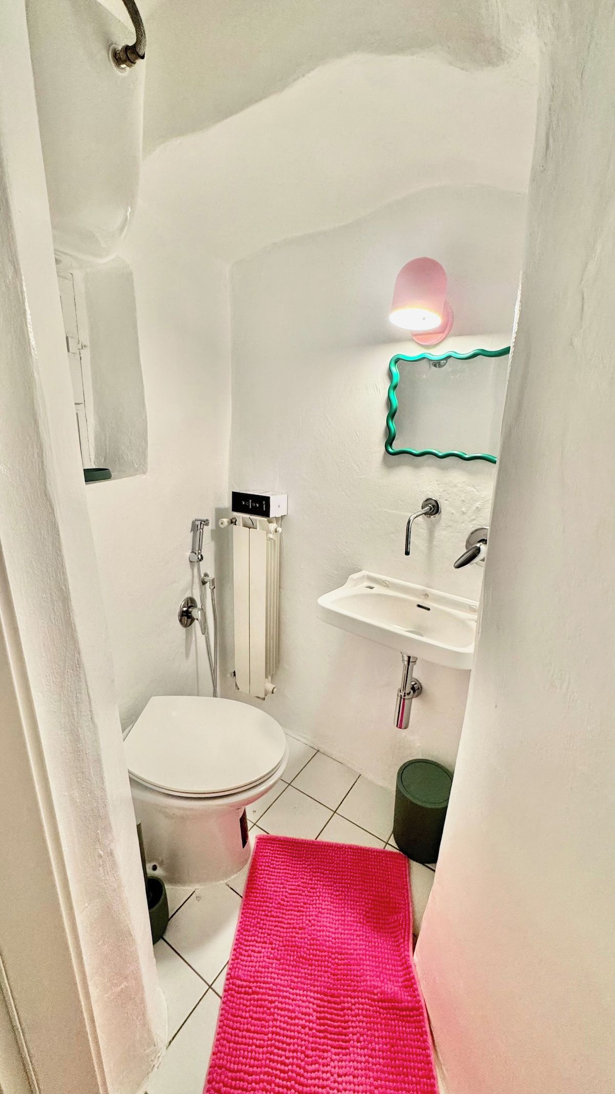 Un bagno piccolo ma funzionale, con il water, un lavandino e una doccia.
