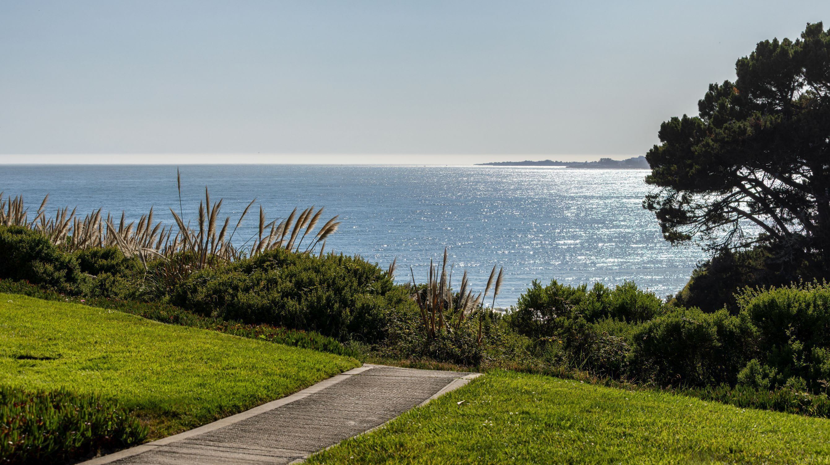 Ocean Views 