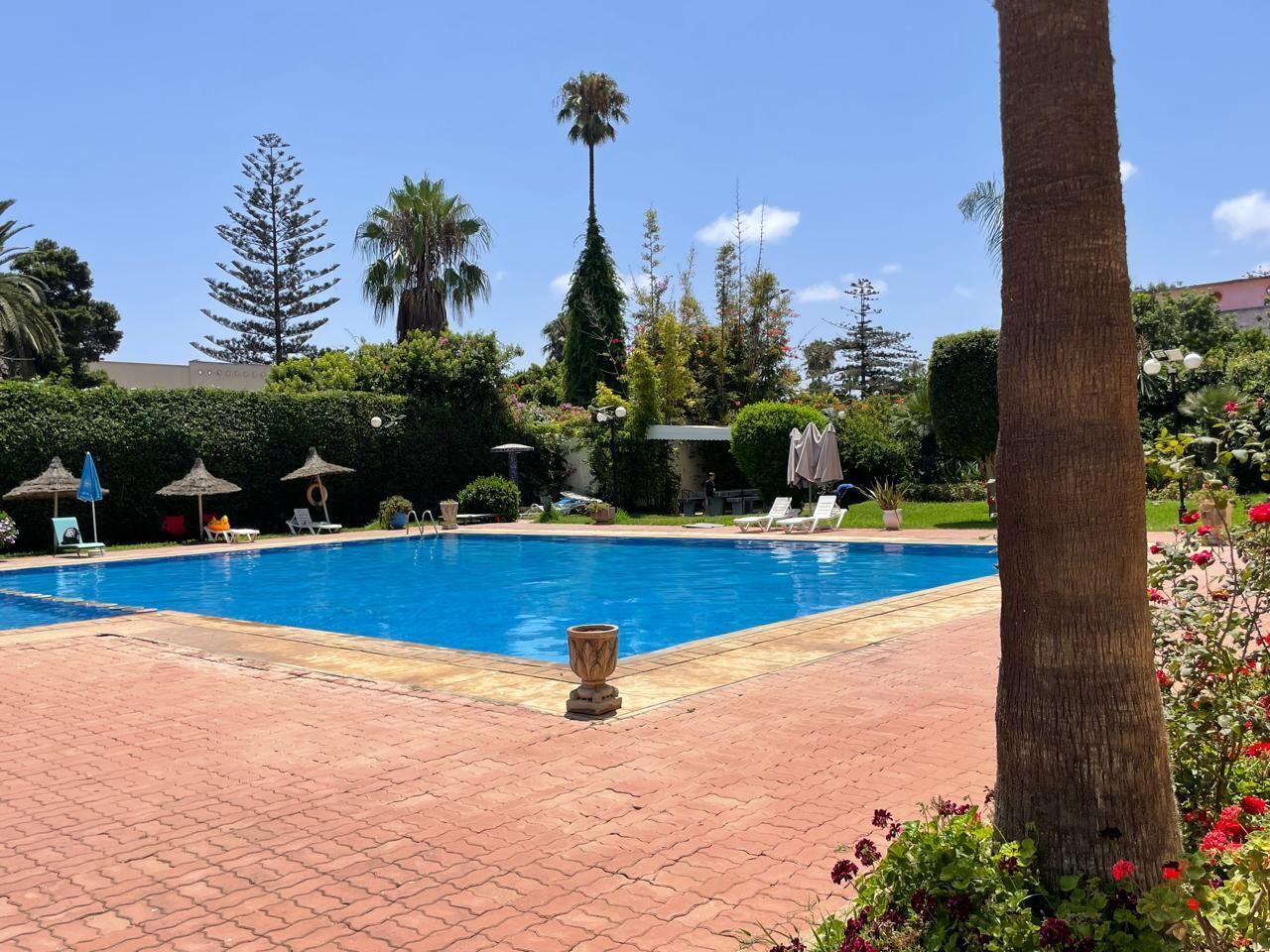 Uma piscina com espreguiçadeiras e guarda-sóis, cercada por vegetação e palmeiras.