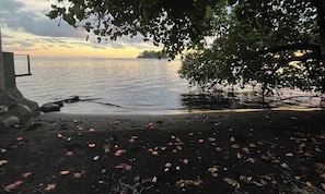 A beach with a tree in the foreground, a body of water, and a distant shoreline.
