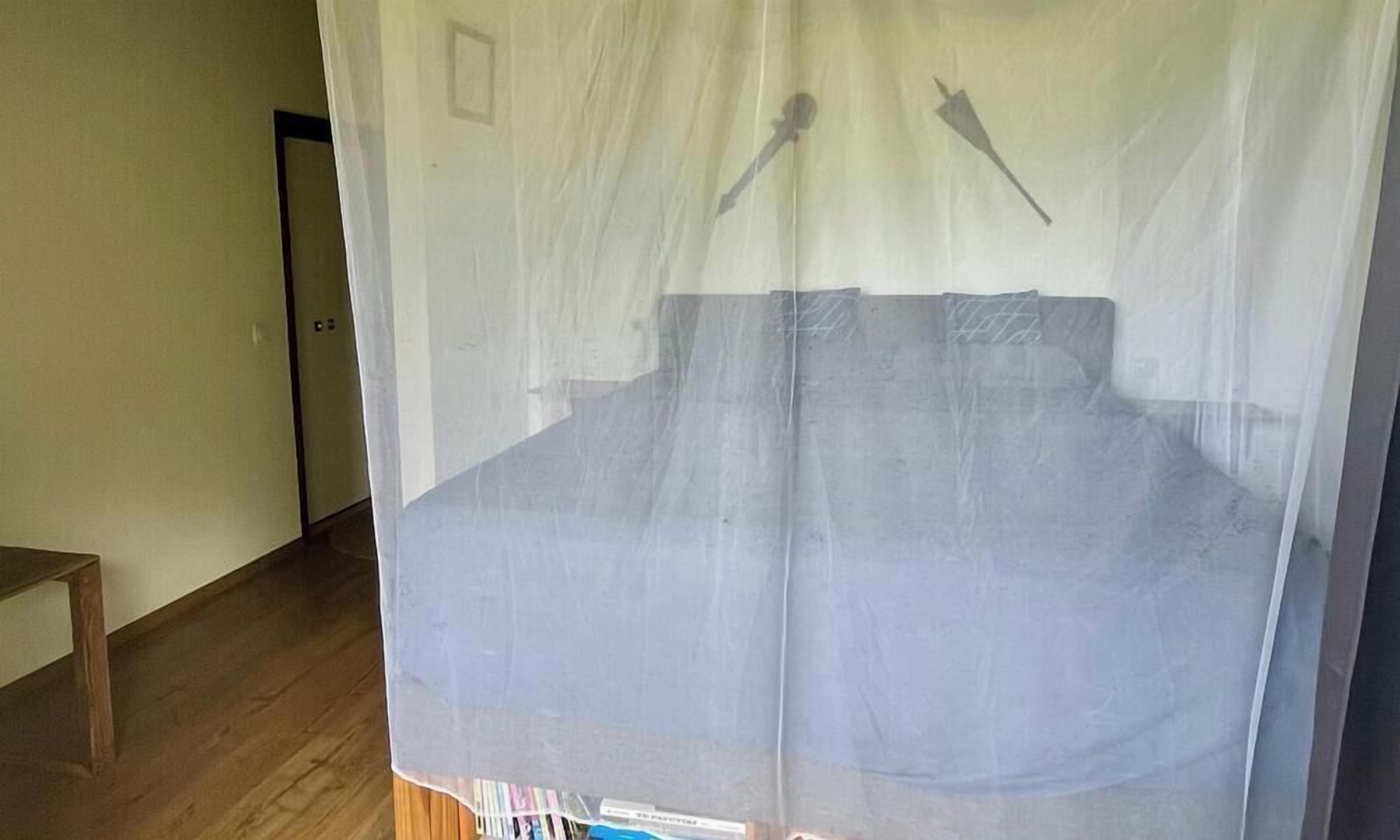 A room with a bed covered by a mosquito net, a wooden floor, and a door in the background.