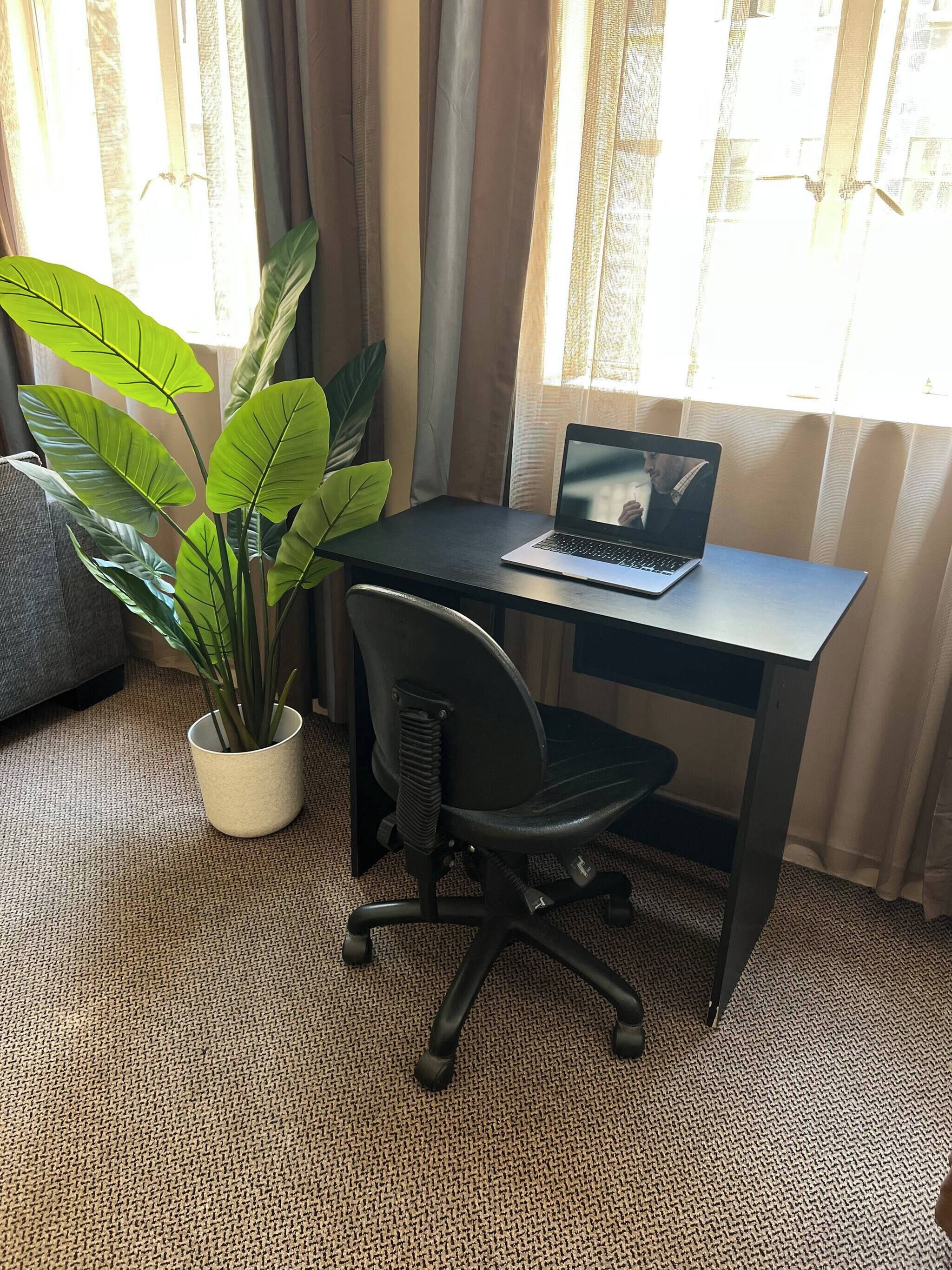 A room with a desk, a laptop, a potted plant, and a chair.