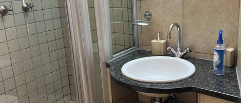 Une salle de bain dotée d’une douche à parois de verre, d’un lavabo avec un plan de travail en granit et d’un miroir au-dessus du lavabo.