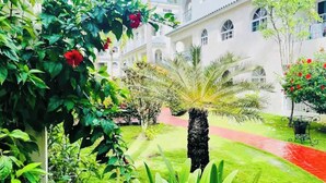 A lush garden with a palm tree, red flowers, and a pathway leading to a white building with arched windows. - Cozy 2BR/2Bth walk 2 the beach. Pool view & Wi-Fi (Punta Cana)