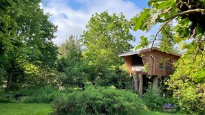 Una casa en árbol con revestimiento de madera, rodeada de abundante vegetación y árboles.