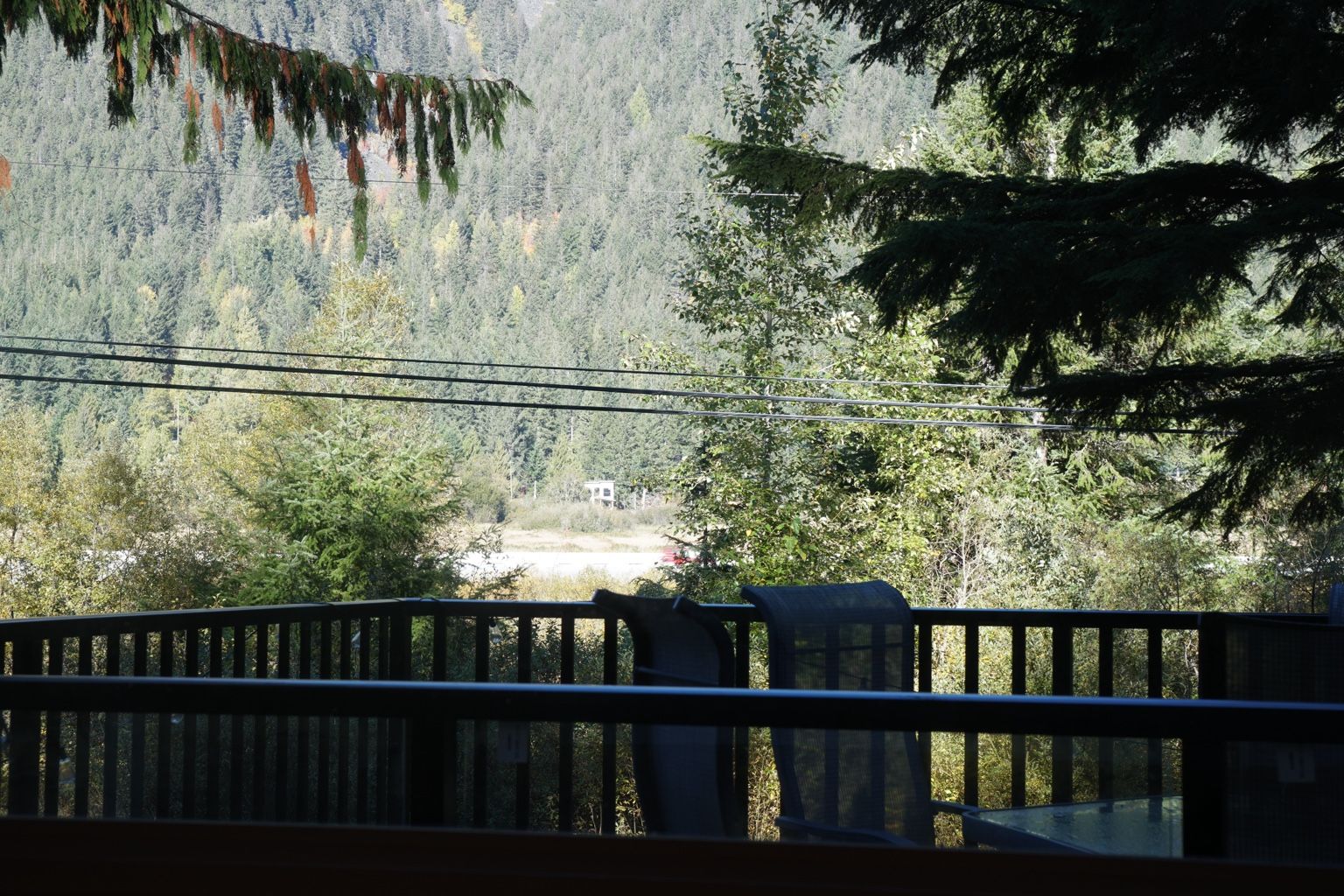 A view from a balcony with a railing, overlooking a forested area with a building in the distance.