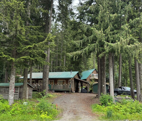 A cabin with a green roof, surrounded by tall trees and a gravel path leading to it.