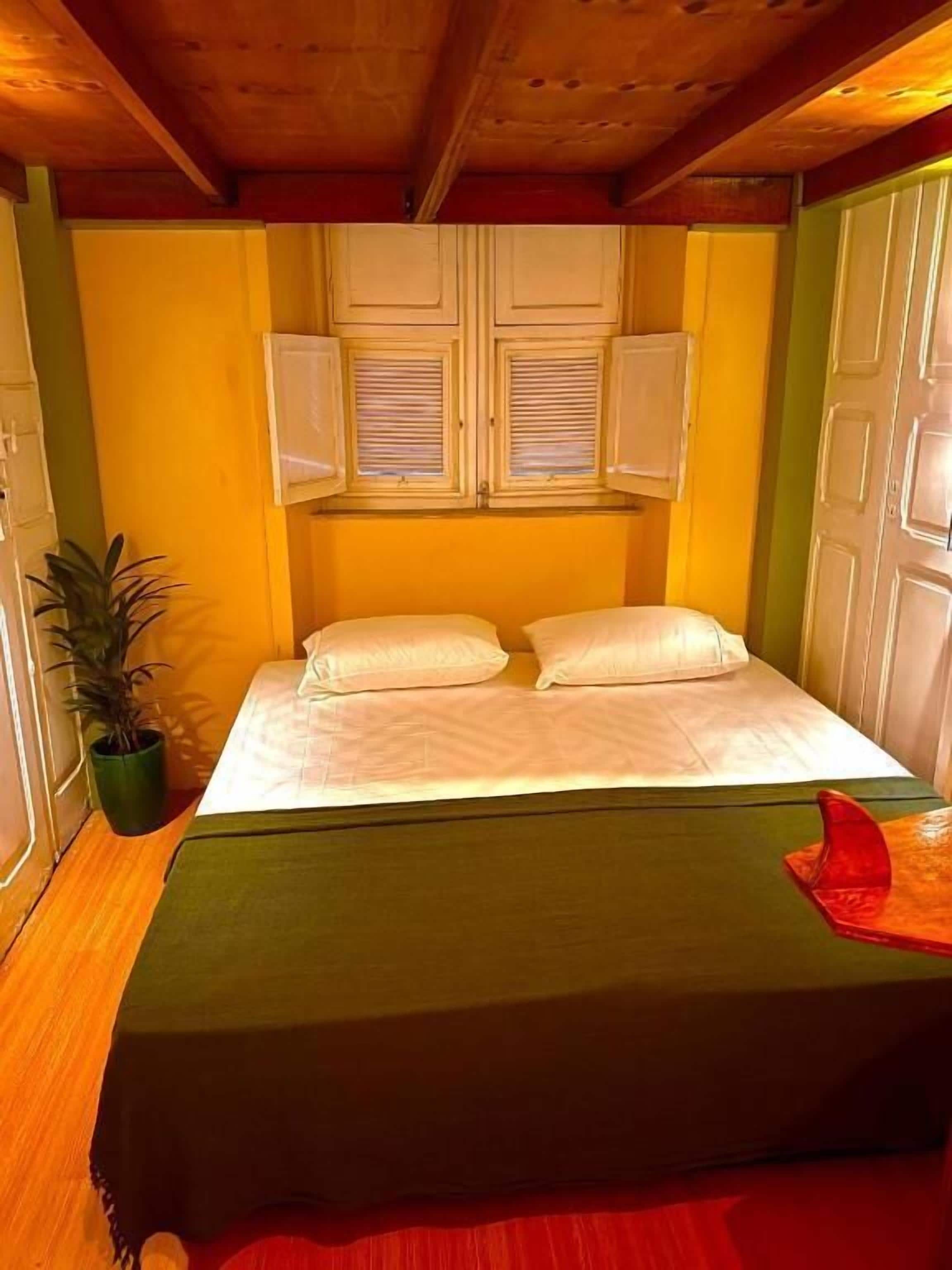 A bed with white linens, a green bedspread, and a red object on the right side. There are two windows with shutters, a potted plant, and a door with a handle.