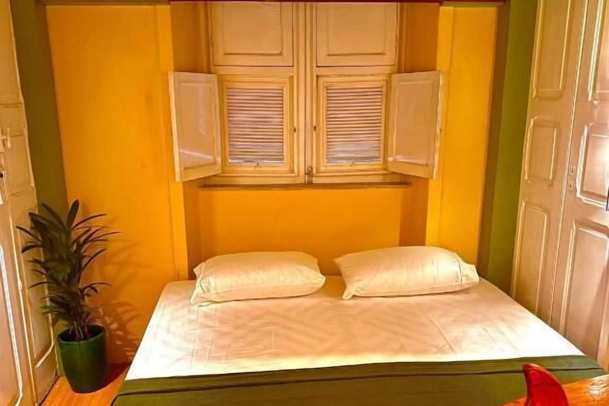 A bedroom with a bed, two windows with shutters, a potted plant, and a door.