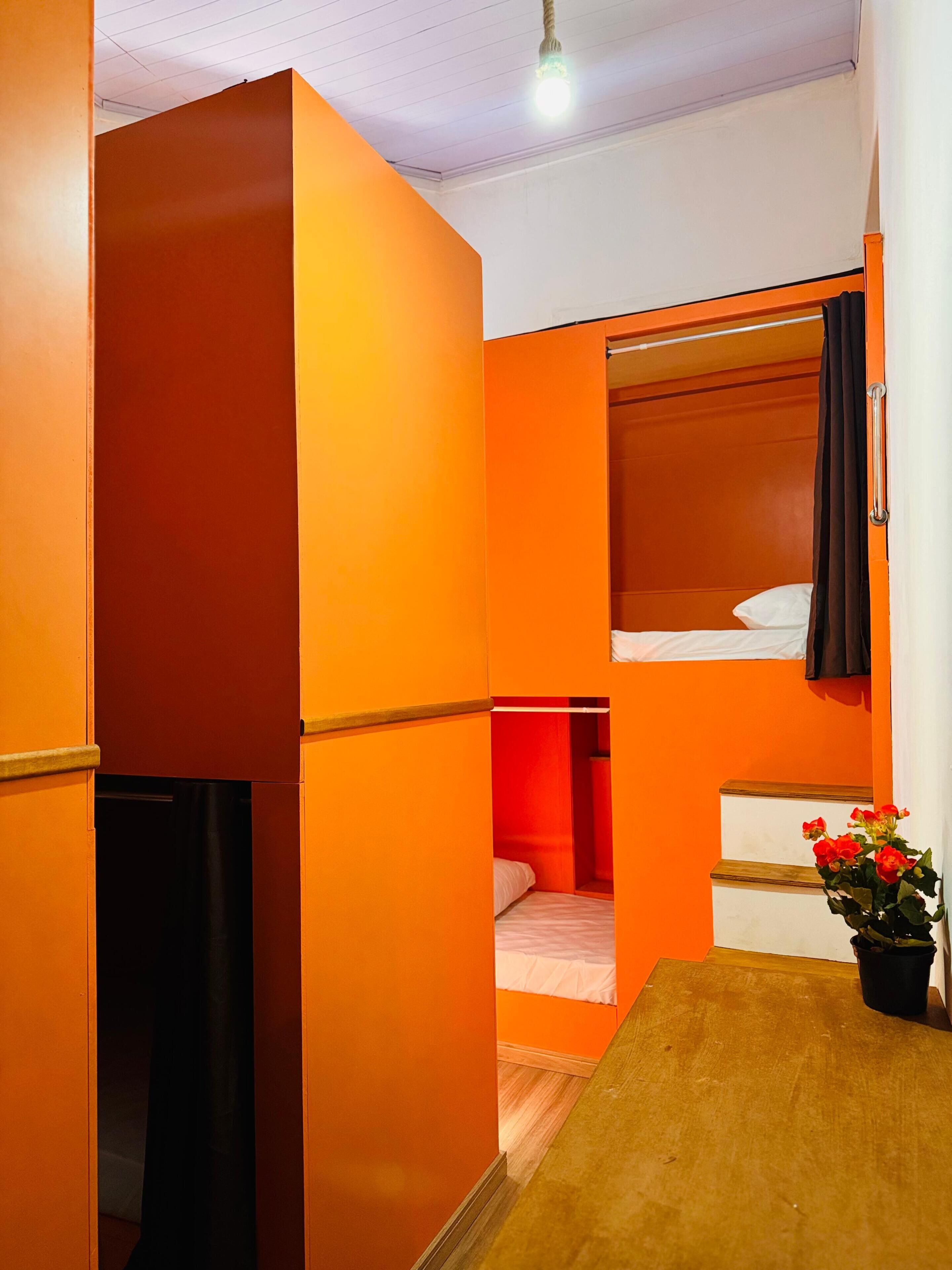 A compact room with a bunk bed, a small table, and a potted plant.