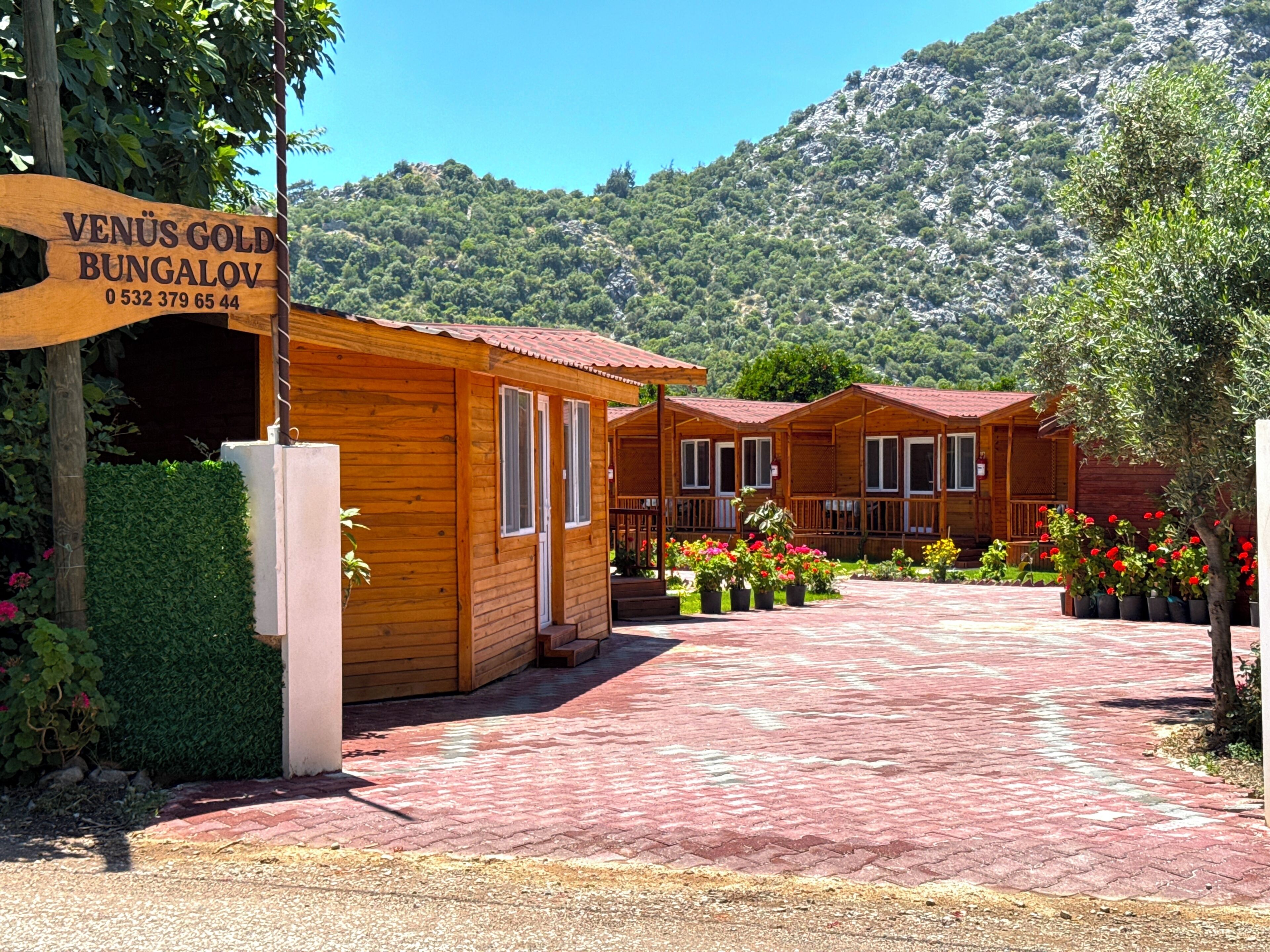 A wooden bungalow with a red roof, surrounded by a paved walkway and potted plants.