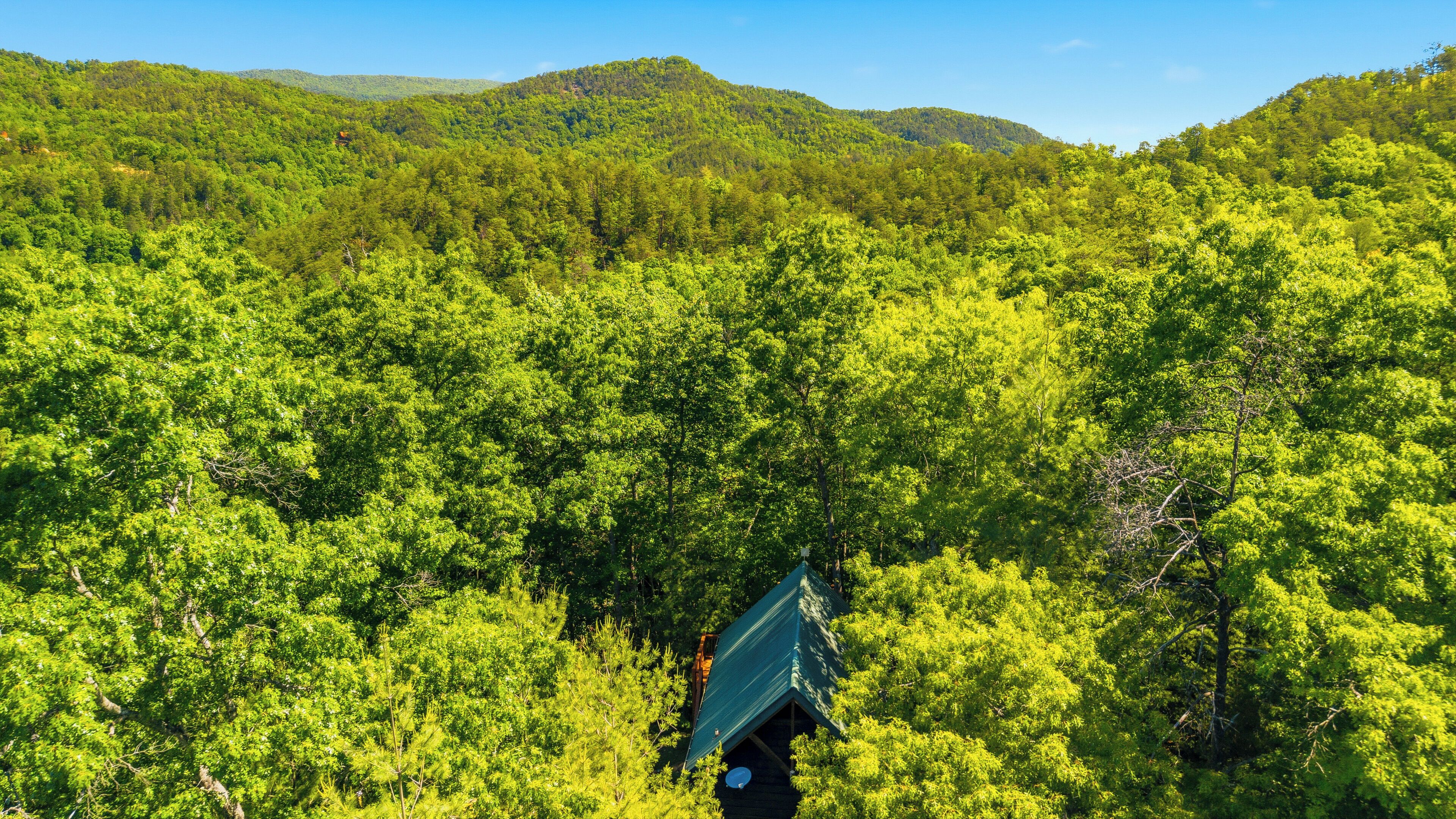 Un paysage boisé avec une cabane.