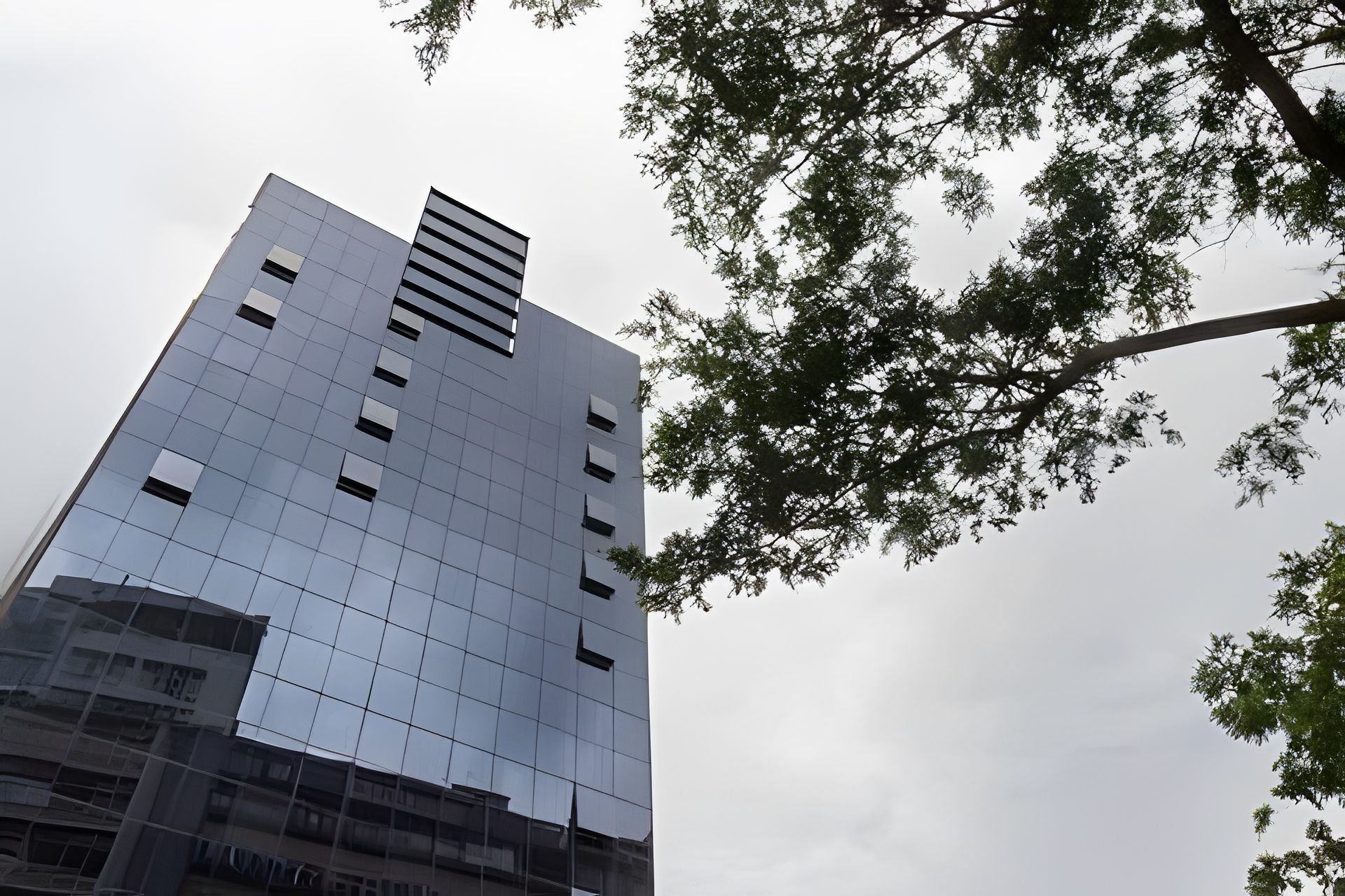 Ein Hochhaus mit moderner Glasfassade und einem sichtbaren Ast im Vordergrund.