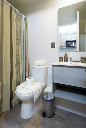 Hair dryer, towels, soap, toilet paper - IRARRAZAVAL 1970 (Ñuñoa)