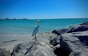 Spiaggia