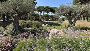 Un jardin avec des arbres et des fleurs.