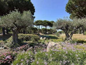 Ein Garten mit Bäumen und Blumen.