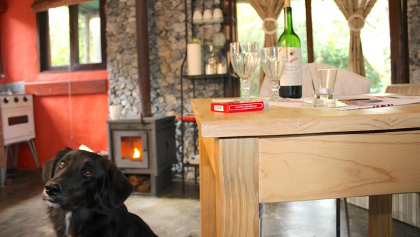 Un perro sentado en una habitación con una mesa, una chimenea y una ventana con cortinas.