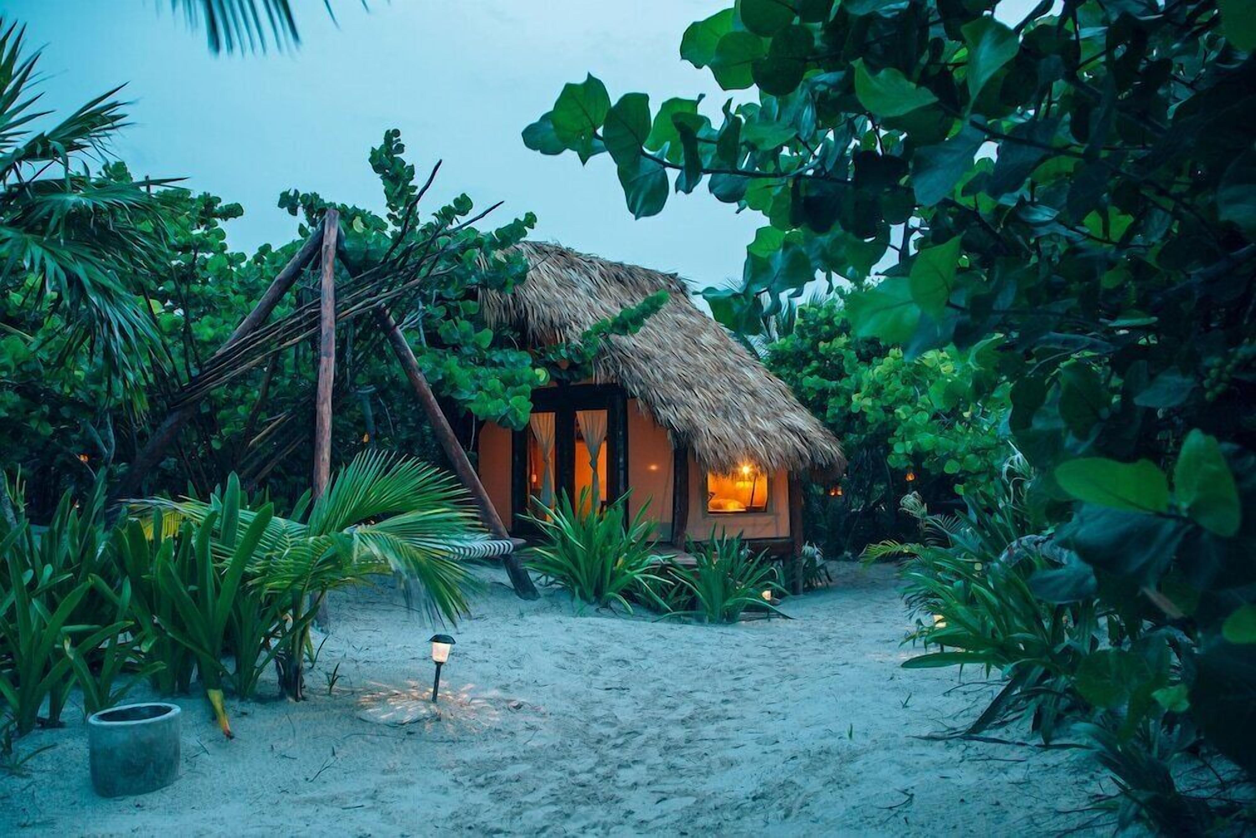 A thatched-roof hut surrounded by lush greenery.