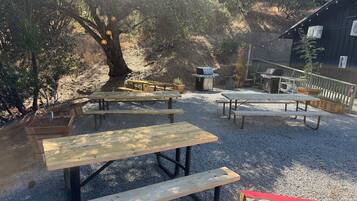 Un área de patio exterior con mesas de picnic, una parrilla y un cobertizo pequeño.