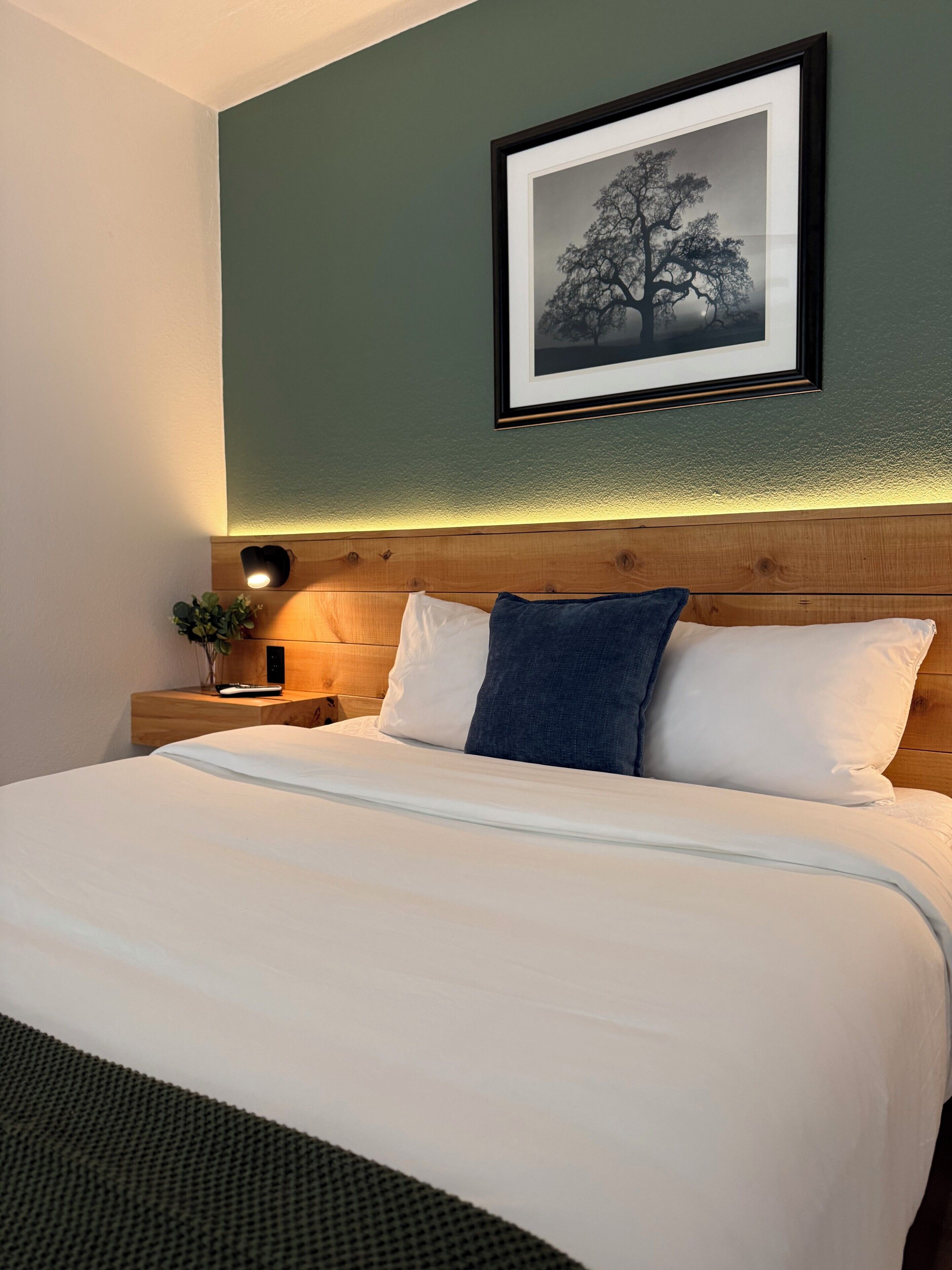 Cama bem arrumada com almofadas brancas e azuis, um quadro emoldurado acima, uma mesa de cabeceira com controle remoto e uma pequena planta.