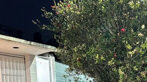 Eine Wohngarage mit Betonbefahrfläche, einer weißen Garagentür und einem kleinen Fenster mit Blumen.
