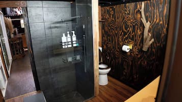 Shower, towels, soap, toilet paper