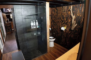 Douche, serviettes fournies, savon, papier de toilette