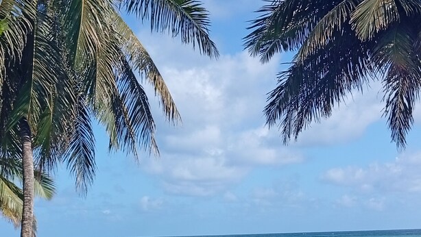 A beach view with palm trees, a railing, and the ocean. - Exclusive villa for rent in Juan Dolio private second line beach 1 min. (Playa Juan Dolio)