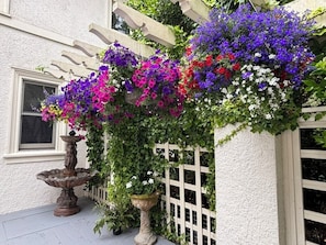 A building with a white exterior, a wooden pergola, and a white fence.