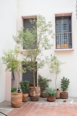 A courtyard with potted plants and a building with windows and shutters.