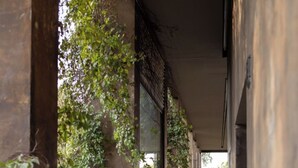 A corridor with concrete walls, large windows, and greenery. - Mr. W | Modern 2 bedroom apartment in Providencia (Zapopan)