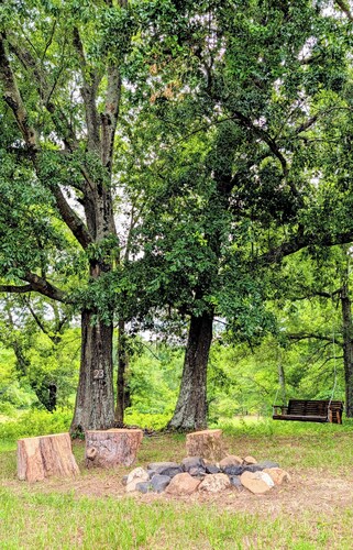 Mountain View Tent Site #23 at Ouachita Campground at Edendell