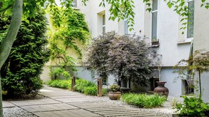 Een pad dat naar een gebouw leidt, met een tuin, een kleine boom en potplanten.