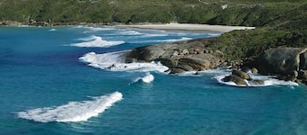 Apiwa Middleton Beach Front Apartments Albany