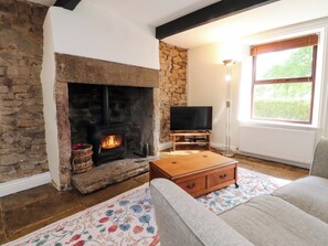 Fernseher, Kamin